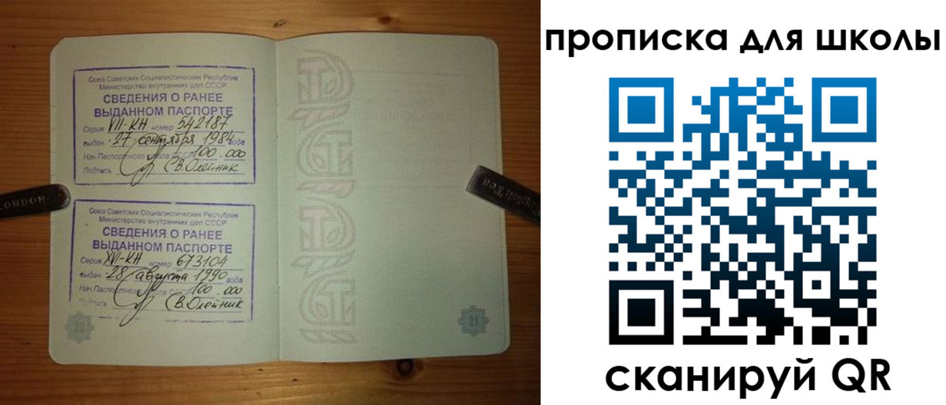 прописка для школы в Александрове